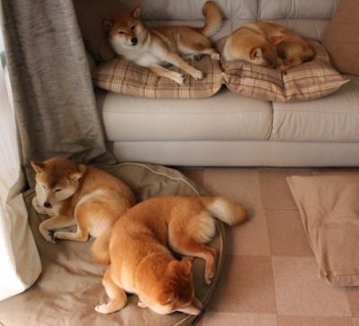 “意甲传统豪门再次展现霸气，引发关注”，意甲的豪门