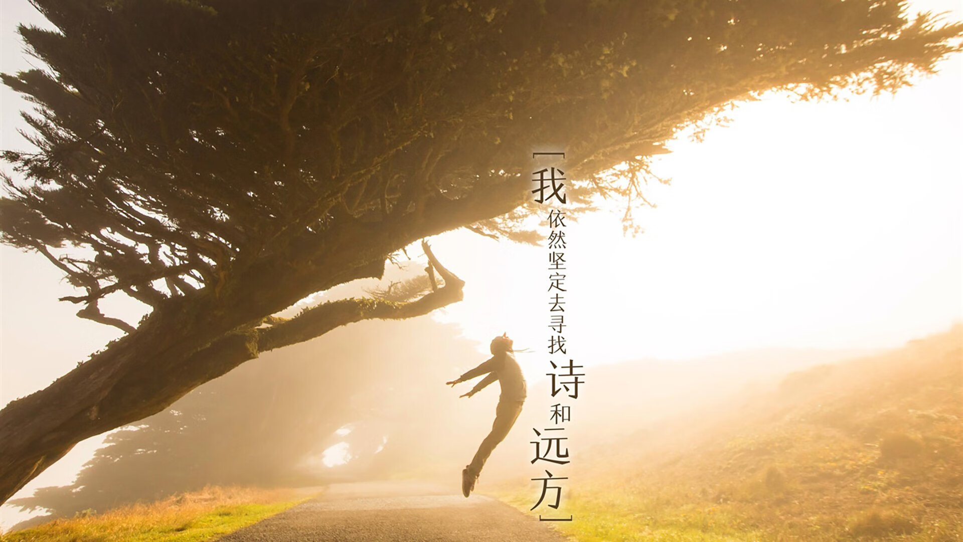 传统文化运动体验营，感受中华瑰宝的魅力，传统文化体验活动有哪些