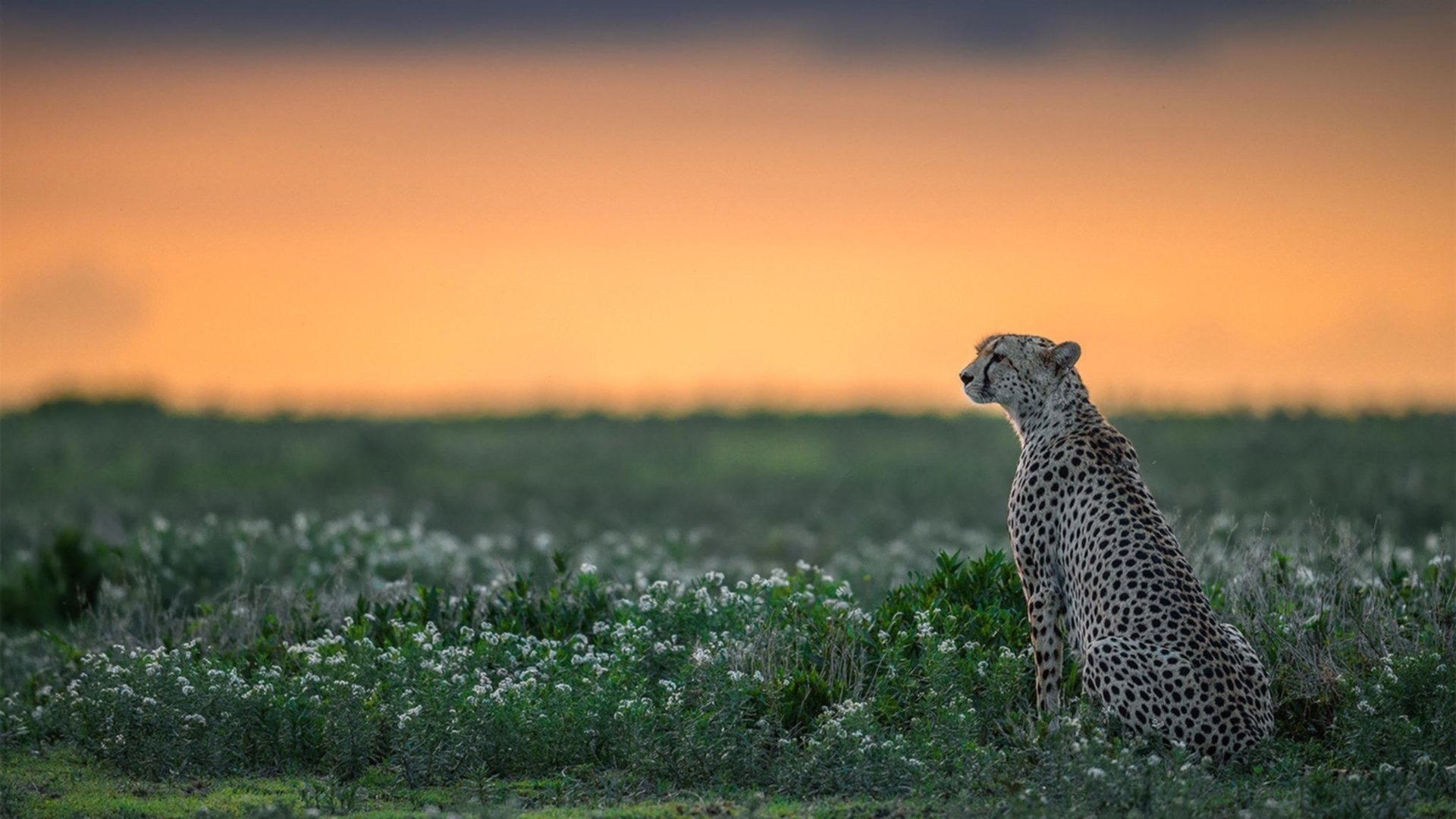 国足新星在海外联赛取得首球,国足海外球员名单