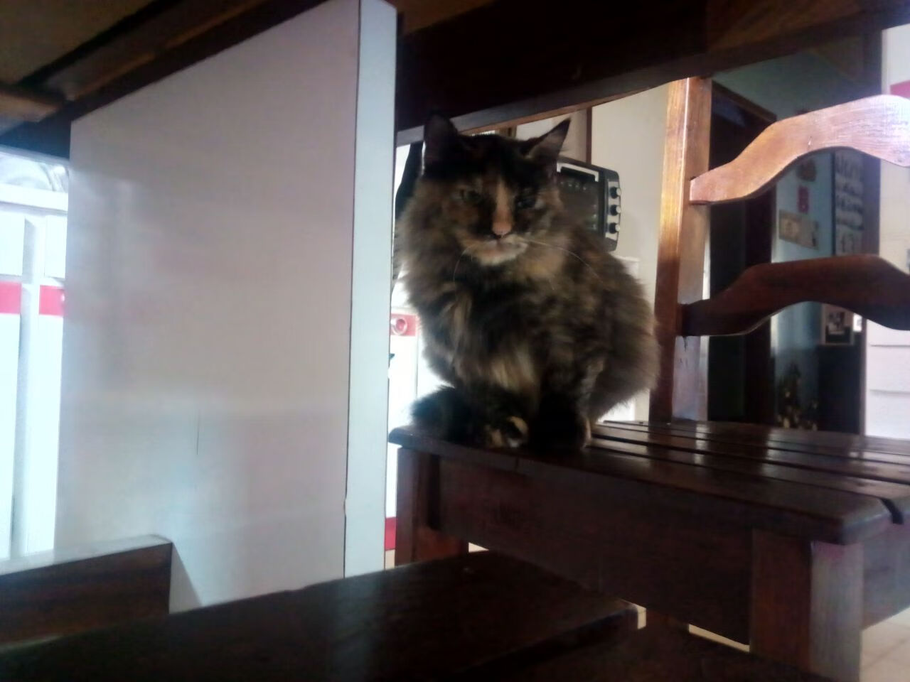 【战术变化】球队如何应对不同对手制定策略，球队的问题